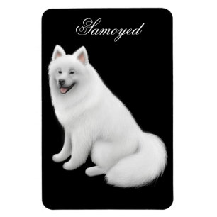 Friendly Samoyed Dog Premium Magnet