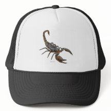 Friendly Scorpion Trucker Hat