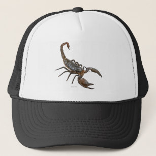 Friendly Scorpion Trucker Hat