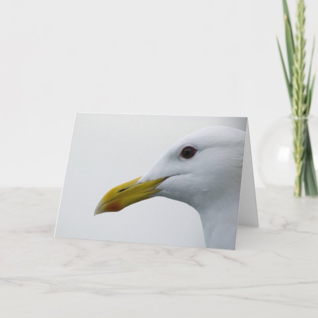 Friendly Seagull? Card (Front)