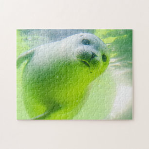 Friendly Seal Jigsaw Puzzle