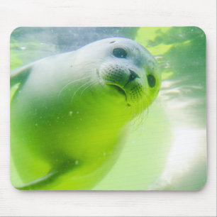 Friendly Seal Mouse Pad