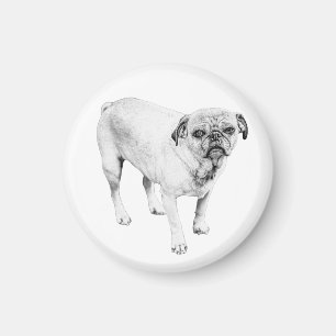 Friendly Shaded Dog Magnet For Comforting Spaces