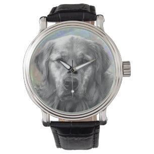 Friendly souls watch