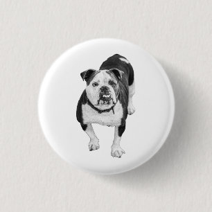 Friendly Spirit, Bulldog Photo Pin