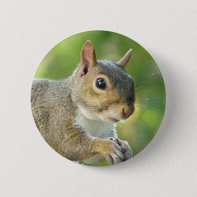 Friendly Squirrel Animal Button (Front)