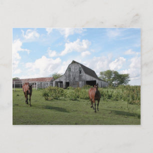 Friendly Welcome Postcard