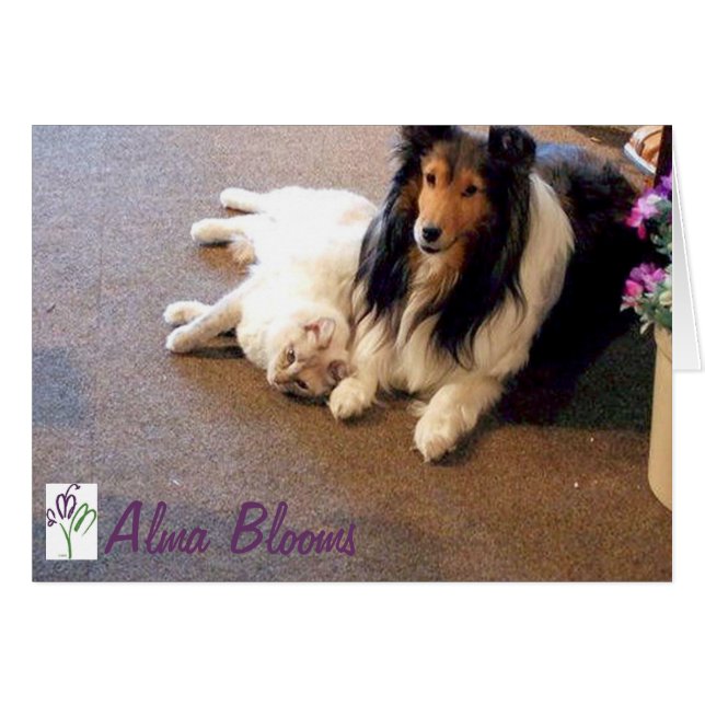 Friends (Front Horizontal)