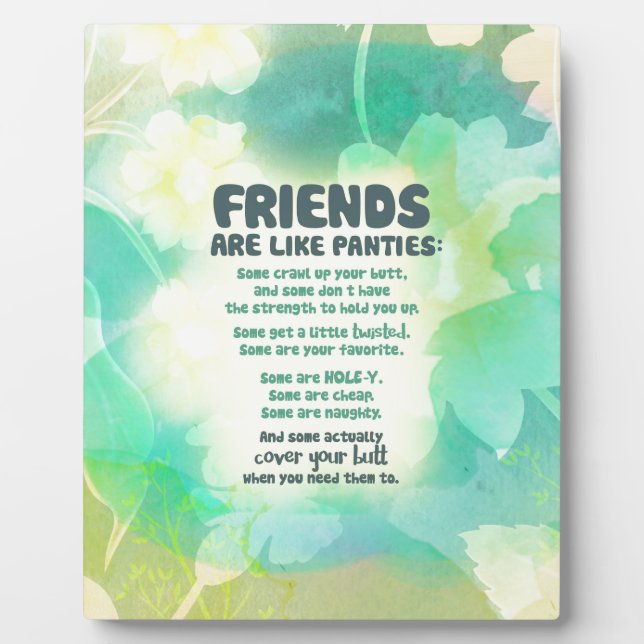 Friends are like Panties Plaque (Front)