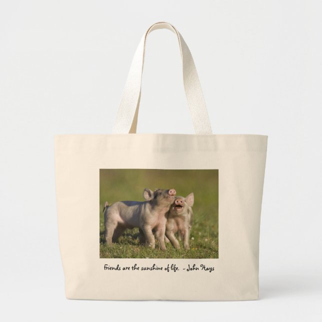 Friends are the Sunshine of Life Large Tote Bag (Front)
