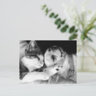 "Friends" Award-Winning Chihuahua and Cat Painting Postcard