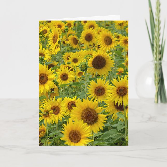 Friend's Birthday Sunflower Field Card (Front)