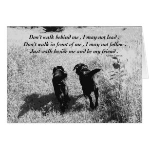 Friends - Black Lab