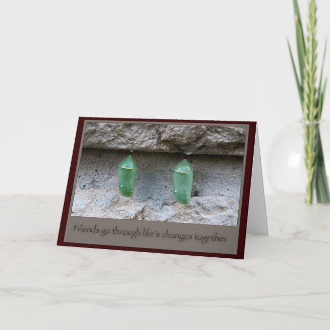 Friends Butterfly Cocoons Card (Front)