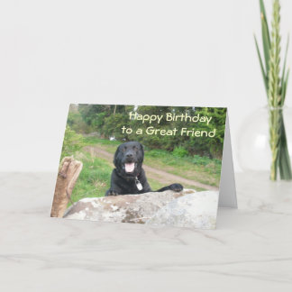 Friends Card