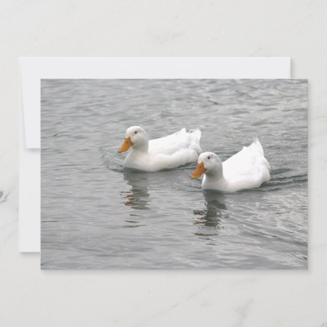 Friends Card (Front)
