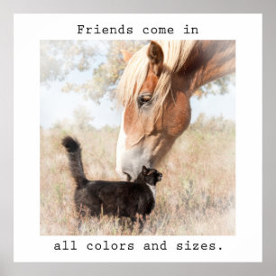 Friends come in all colours and sizes poster