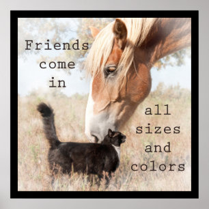 Friends come in all sizes and colours poster