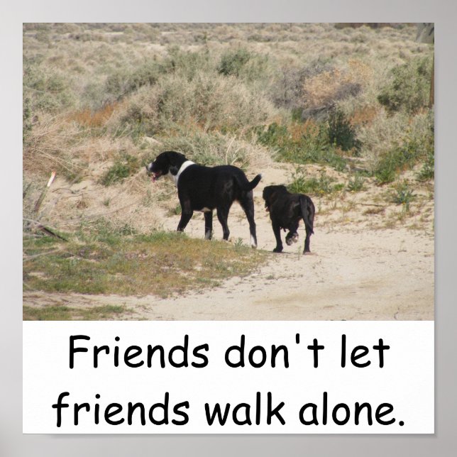 Friends Don't Let Friends Walk Alone Poster (Front)