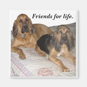 Friends for life. magnet