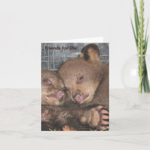 'Friends for life!' Note Card