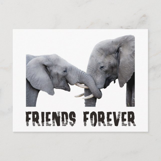 Friends Forever Elephants hugging / kissing Postcard (Front)