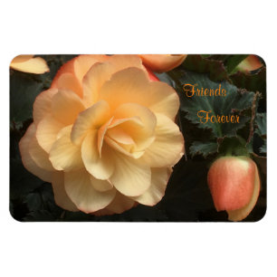 Friends Forever Magnet