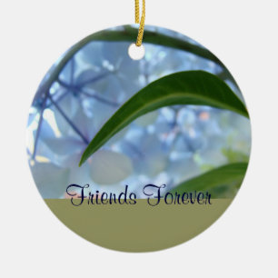 Friends Forever ornaments Blue Floral Green Leaf