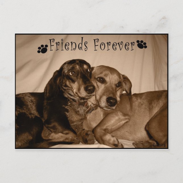 Friends Forever Postcard (Front)