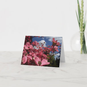 Friends Garden Blank Inside Note Cards Variety
