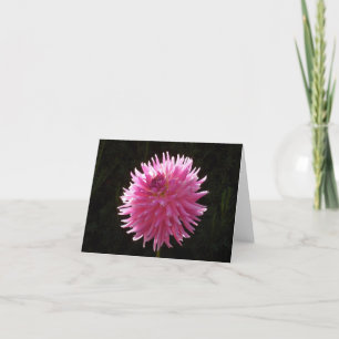 Friends Garden Blank Inside Note Cards Variety