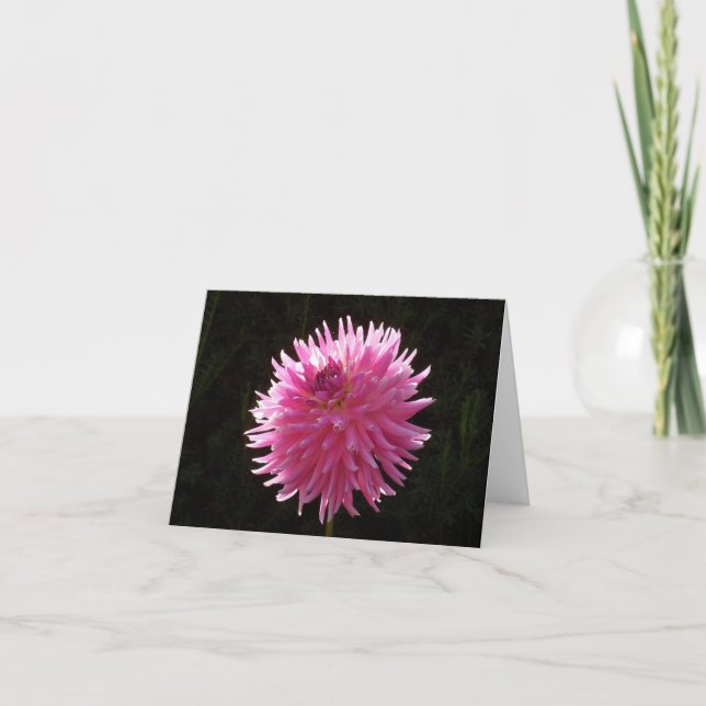 Friends Garden Blank Inside Note Cards Variety (Front)