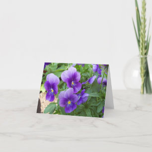Friends Garden Blank Inside Note Cards Variety