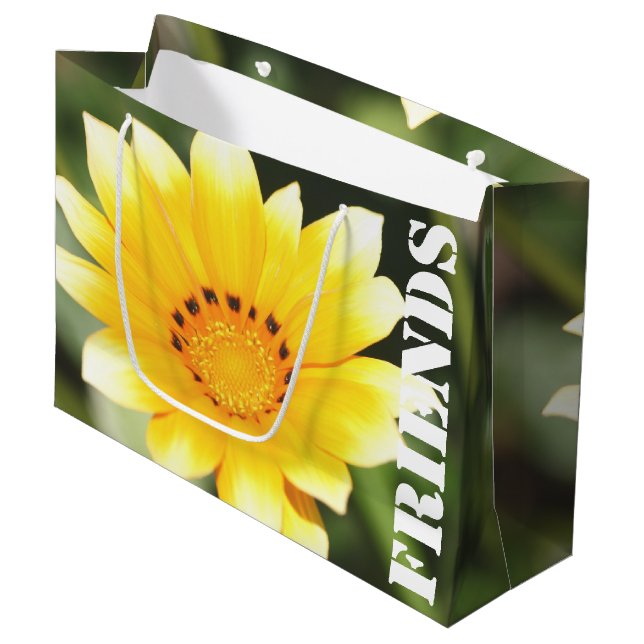 Friends Gift Bag (Front Angled)