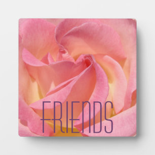 FRIENDS gifts Pink Rose Flower Plaques