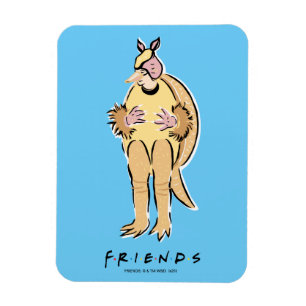 FRIENDS™ Holiday Armadillo Magnet