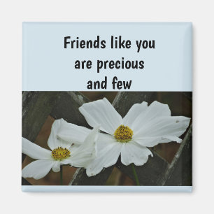 Friends like you magnet, magnet