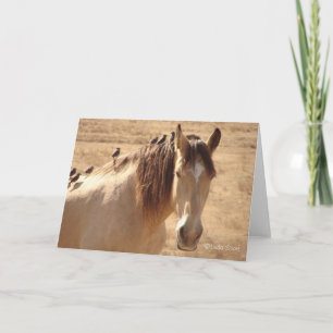 Friends ©Linda Scott Card