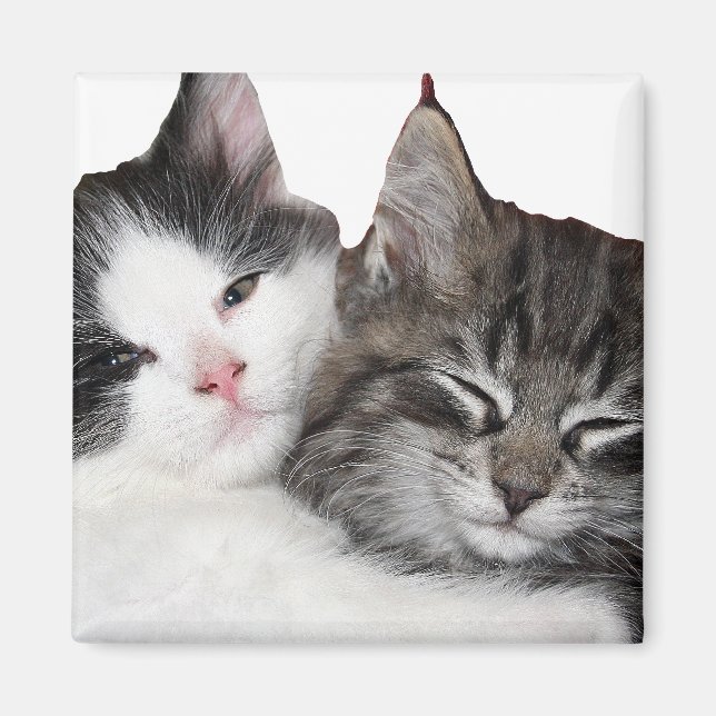 Friends Magnet (Front)