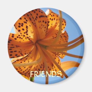Friends Magnet Friendship Orange Tiger Lily Flower
