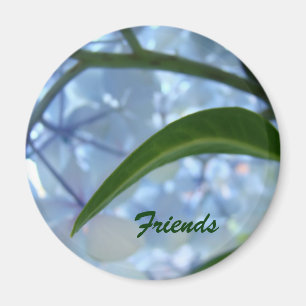 Friends magnet gifts Blue Hydrangea Flowers