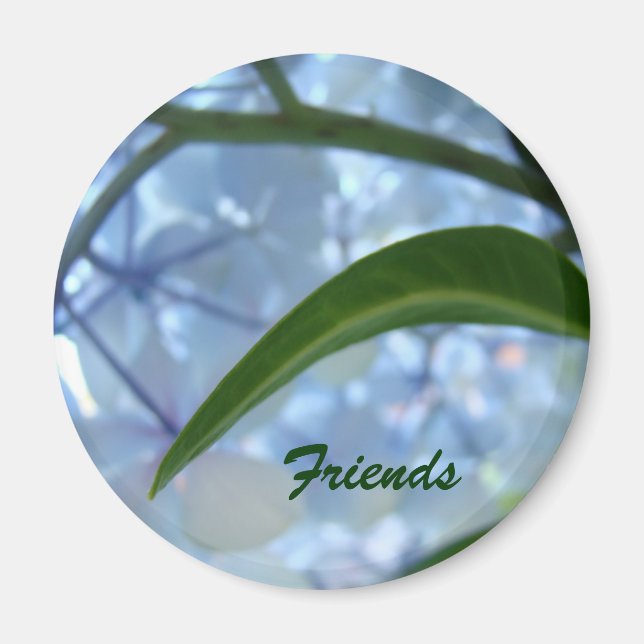 Friends magnet gifts Blue Hydrangea Flowers (Front)