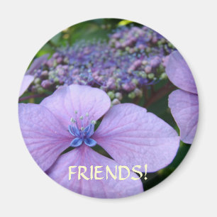 FRIENDS Magnet gifts HYDRANGEA FLOWER MAGNETS