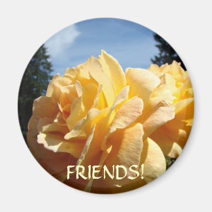 FRIENDS! MAGNET Orange ROSES GARDEN GIFTS