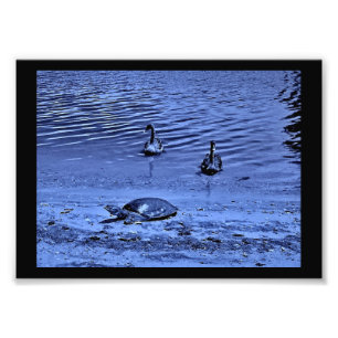Friends Photo Print
