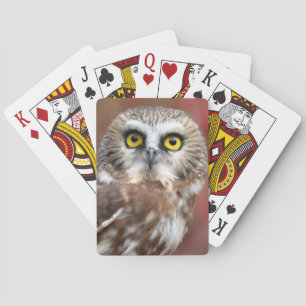 Friends Playing Cards