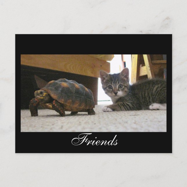 Friends Postcard (Front)