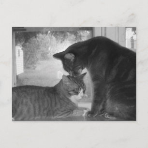 Friends Postcard