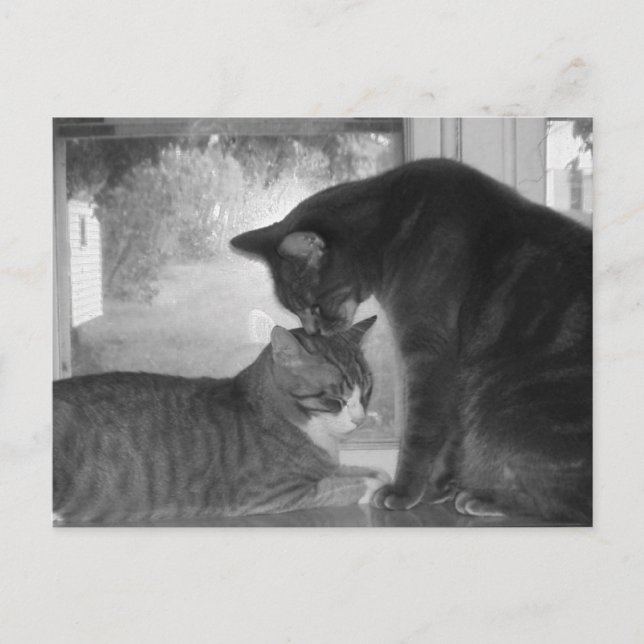 Friends Postcard (Front)