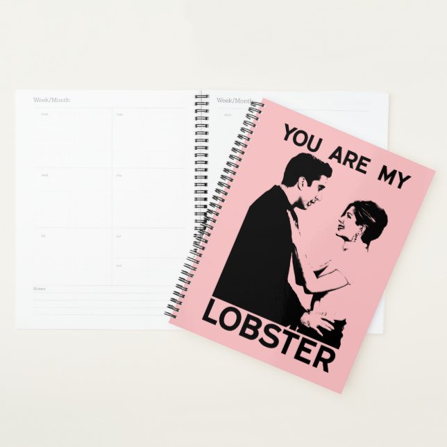 FRIENDS™ | Ross & Rachel - You Are My Lobster Planner (Display)